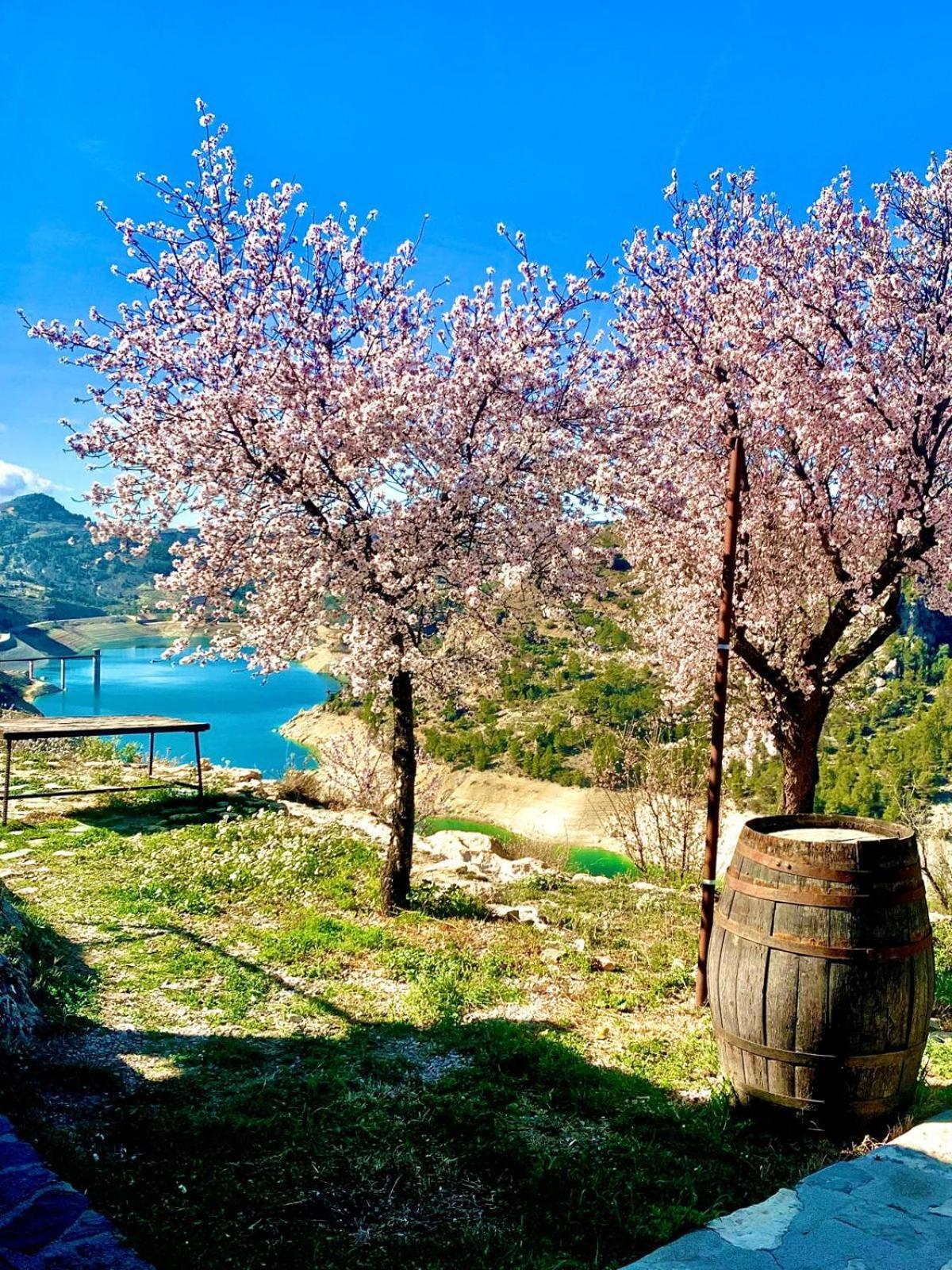 كاستريل Casa Rural Miravella المظهر الخارجي الصورة